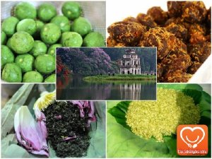 Đặc sản Hà Nội làm quà