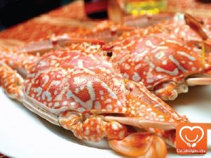 Đặc sản Phú Yên